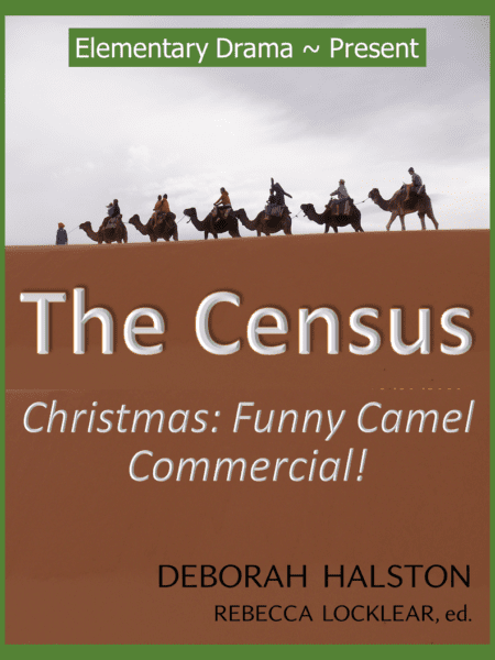 The Census (drama)